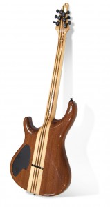 Mayones Regius, trasera