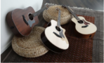 Taylor Guitars group