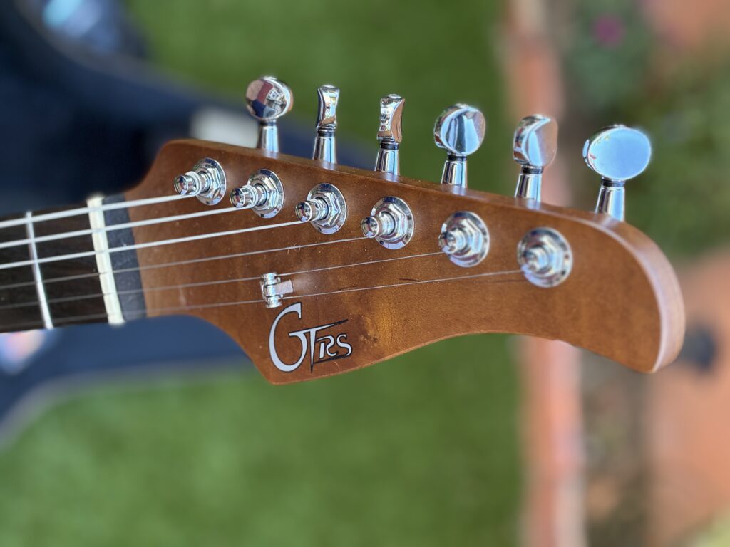 Mooer GTRS Professional 800 FR, pala